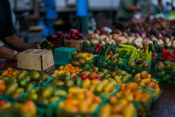 篮子里装满了新鲜的成熟西红柿 新鲜的 有机的 手采摘成熟的西红柿出售在路边的农场市场 夏季托盘市场农业农场充满有机蔬菜 — 图库照片