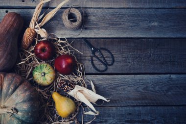 Sonbahar kabaklar Şükran günü arka plan. Ahşap masa üzerinde turuncu, sarı ve yeşil kabak. Farklı boyut kabaklar saman ve elma, Mısır ahşap arka plan ile. Sebze hasat. Tonlu görüntü.