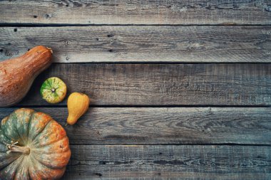 Rustik antika arka plan farklı kabak ile. Şükran günü kavramı. Kapalı vintage kahverengi arka planda, kopya alanı metin için üstten görünüm kabaklar ve su kabakları çeşitleri. Tonlu görüntü.
