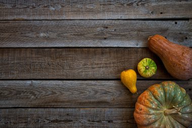 Rustik antika arka plan farklı kabak ile. Şükran günü kavramı. Kapalı vintage kahverengi arka planda, kopya alanı metin için üstten görünüm kabaklar ve su kabakları çeşitleri. Tonlu görüntü.