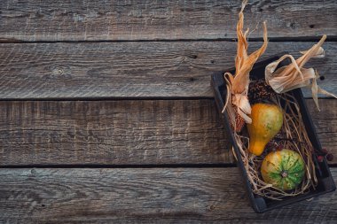Kabaklar vintage ahşap kutu ve Mısır ile saman. Sağlıklı organik sebze. Mevsim sonbahar Şükran veya Halloween için arka plan. Tasarım kadar sahte. Tonlu görüntü. Kopya alanı.