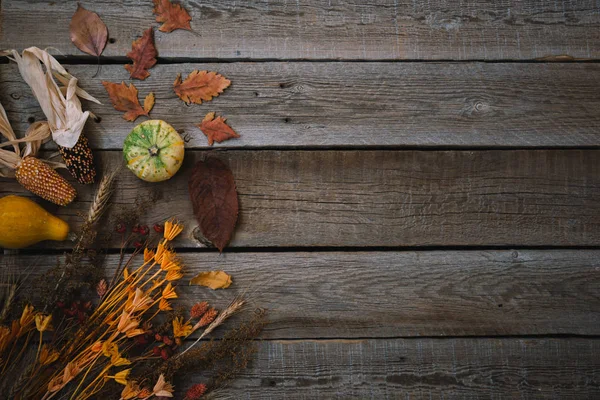 Sonbaharda Hasat Kabaklar Vintage Ahşap Zemin Üzerinde Sonbahar Kompozisyon Pumpkins — Stok fotoğraf