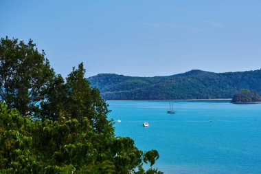 Yaz tatil ve seyahat kavramı - görünüm ön sol tarafında yeşil bitki ile turkuaz denizin üzerinde. Yatlar masmavi okyanus su zemin üzerine yeşil tropikal bitki.