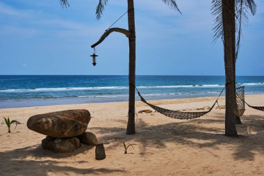 Güzel bir plaj. Güzel tropikal plaj avuç görünümünü. Hamak sahilde iki palmiye ağaçları arasında. Boş beyaz hamak gölgede. Tropikal peyzaj. Tatil ve tatil kavramı. 