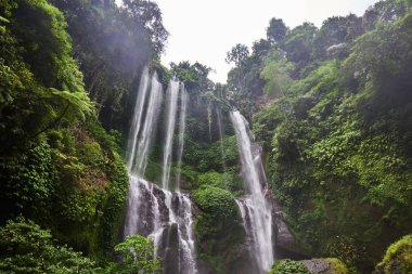 Güzel şelale yeşil tropikal orman içinde. Düşen su görünümü su sıçrama ile olur. Doğa manzara. Sabah görünümü üzerinde derin yağmur ormanları ormanda gizli görkemli şelale. 
