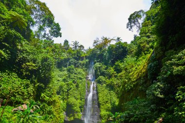 Sekumpul şelale Bali Adası Endonezya. Görkemli şelale rainforest ormanda. Sunlight.bnature manzara ile inanılmaz güzel şelale manzarası. Seyahat ve macera kavramı.