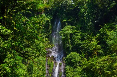 Sekumpul şelale Bali Adası Endonezya. Görkemli şelale rainforest ormanda. Sunlight.bnature manzara ile inanılmaz güzel şelale manzarası. Seyahat ve macera kavramı.
