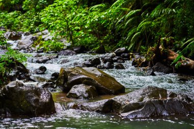 Su arasında dağ taş yakın çekim akarsu. Güzel dağ nehir akışıyla hızlı akan su ve kayalar. Güzel manzara akan suda. Pitoresk rapids Nehri üzerinde.