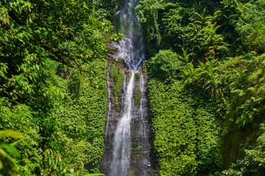 Sekumpul şelale Bali Adası Endonezya. Görkemli şelale rainforest ormanda. Sunlight.bnature manzara ile inanılmaz güzel şelale manzarası. Seyahat ve macera kavramı.