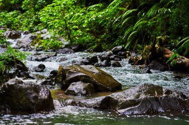 Su arasında dağ taş yakın çekim akarsu. Güzel dağ nehir akışıyla hızlı akan su ve kayalar. Güzel manzara akan suda. Pitoresk rapids Nehri üzerinde.