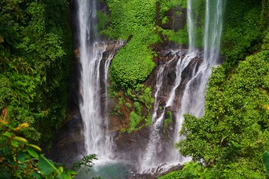 Tropikal egzotik. Seyahat ve macera kavramı. Güzel yağmur ormanı orman. Şelale ile yağmur ormanları. Nehir derin, yemyeşil yeşil orman içinde taş olan. Doğal peyzaj. Düşen su sıçrama ile.