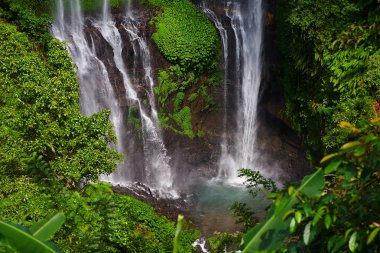Tropikal egzotik. Seyahat ve macera kavramı. Güzel yağmur ormanı orman. Şelale ile yağmur ormanları. Nehir derin, yemyeşil yeşil orman içinde taş olan. Doğal peyzaj. Düşen su sıçrama ile.