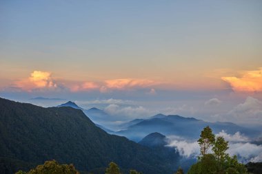 Pastoral sabah sahne vadinin sis, sis Dağı arasında arazi ve parlak gökyüzü güneş ışığı güzel arka plan olarak kaplı..