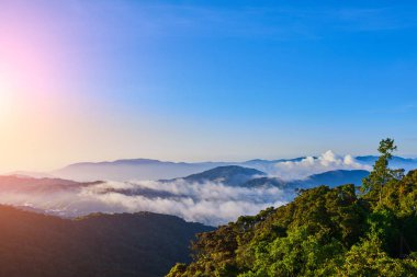 Cameron highlands yeşil çay çiftlik güneş doğarken. Bulut doğa manzara içinde güneş sabah hareket drama. Dağlarda güzel dramatik gün batımı. Turuncu bulutların arasından parlayan güneş manzara