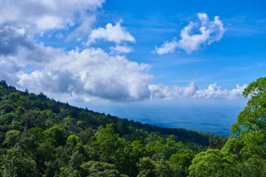 Mavi gökyüzü ve bulutlar Vadisi, yükseklik manzara, panoramik görünüm ile Dağlık tropikal orman. Turist uyanık dağ aralıkları ve evergreen yağmur ormanları ile kaplı tepeler.