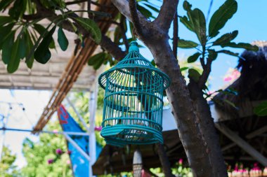 Ağaçta asılı kuş için mavi vintage ahşap kafes dekoratif el yapımı objeler ile tropikal plaj sahne. Tropikal yaz. Kırsal stil beach bar tasarım. Boş zaman, seyahat ve Turizm kavramı. 