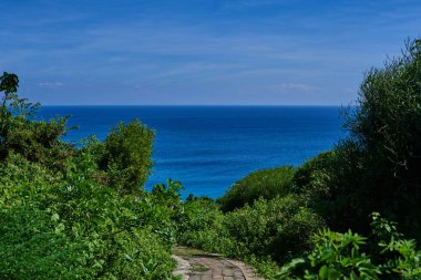 Pastoral tropikal peyzaj yemyeşil bitkiler ve patika Plajı'na. Tropikal peyzaj yolu. Soyut seyahat arka plan kopya alanı ile. Tatil ve Turizm kavramı. Tropik cennet.