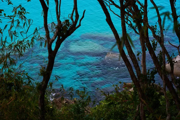 Καταπληκτική Θέα Του Γαλάζια Πεντακάθαρα Ωκεανό Νερού Μέσω Τροπικά Φυτά — Φωτογραφία Αρχείου