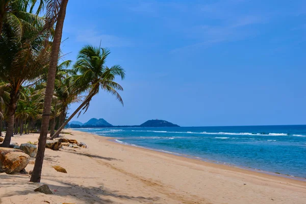 Paysage Paradis Plage Île Tropicale Palmiers Sur Côte Tropicale Plage — Photo