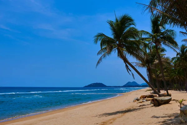 Paysage Paradis Plage Île Tropicale Palmiers Sur Côte Tropicale Plage — Photo