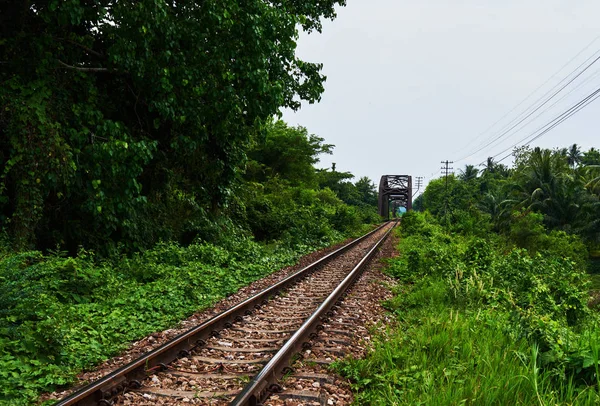 Schöne Aussicht Alte Historische Brückenbahn Brücke Und Helles Tropisches Regenwald — Stockfoto