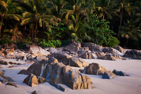 Empty tropical wild beach setting. Tropical beach with granite boulders and palm trees in sunset time. A concept of a tropical paradise location