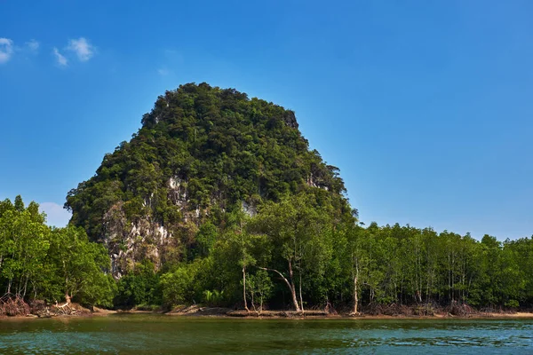 Mangrove trees along the sea. Tropical rainforest landscape, mangrove trees growing in the water. The mountain island with mangrove forest on the foot of mountain surrounded by green sea.
