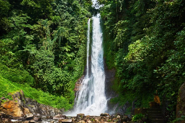 Beautiful waterfall in green tropical forest. View of the falling water with splash of water makes. Nature landscape. Morning view on hidden majestic waterfall in the deep rain forest jungle.
