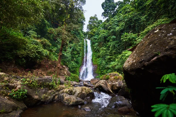 Beautiful waterfall in green tropical forest. View of the falling water with splash of water makes. Nature landscape. Morning view on hidden majestic waterfall in the deep rain forest jungle.