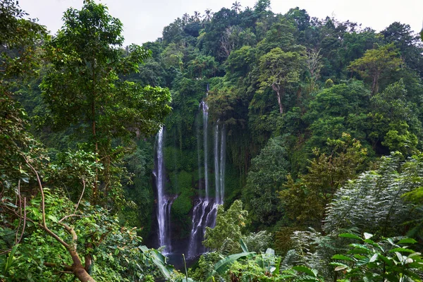 Vackra Vattenfall Gröna Tropiska Skogen Över Det Fallande Vattnet Med — Stockfoto