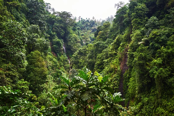 Bela Cachoeira Floresta Tropical Verde Vista Água Caindo Com Respingo — Fotografia de Stock