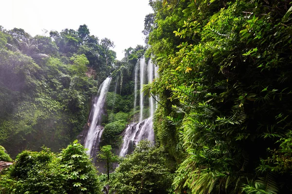 Beautiful waterfall in green tropical forest. View of the falling water with splash of water makes. Nature landscape. Morning view on hidden majestic waterfall in the deep rain forest jungle.