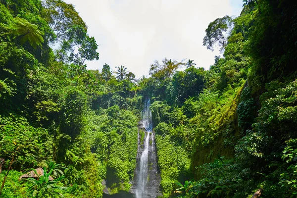 Sekumpul Vattenfall Bali Island Indonesien Majestätiska Vattenfall Regnskogen Djungeln Över — Stockfoto