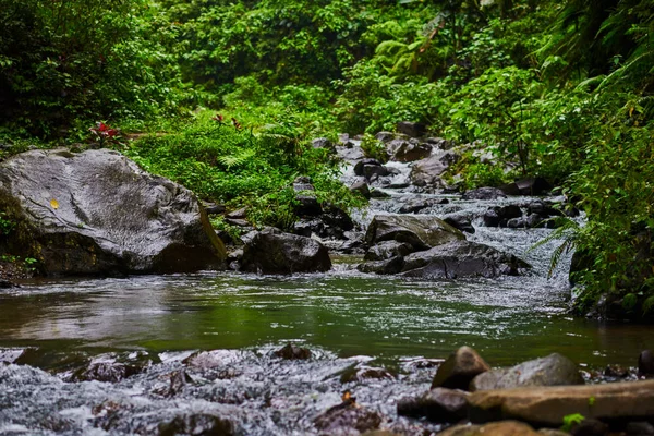 Rochas Água Rio Paisagem Rio Floresta Com Montanhas Floresta Rio — Fotografia de Stock