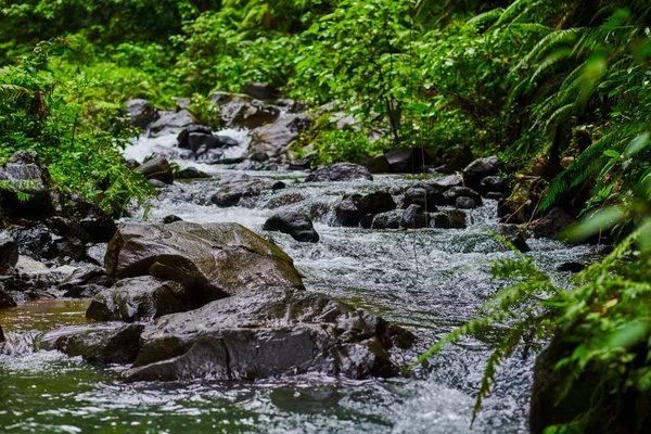在山石之间的水流 秀丽的山小河小河以快速的流动的水和岩石 水流在美丽的风景里 风景如画的急流在河上 — 图库照片