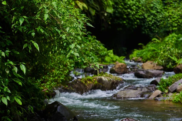 Říční Voda Skály Lesní Říční Krajiny Hory Les Řeka Vpředu — Stock fotografie