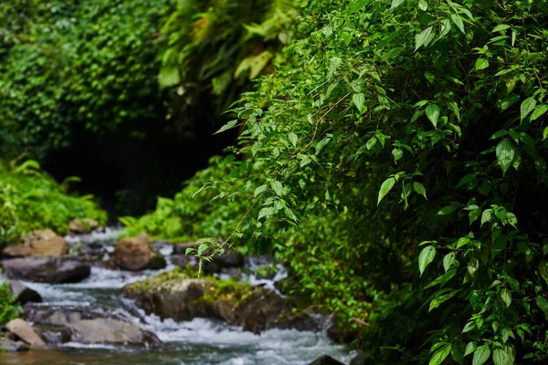 Říční Voda Skály Lesní Říční Krajiny Hory Les Řeka Vpředu — Stock fotografie
