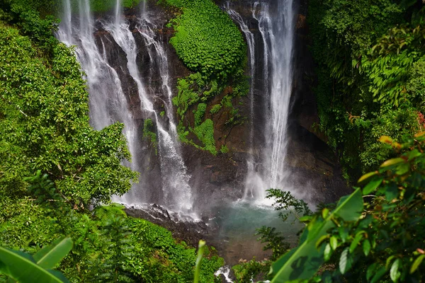 Tropical exotic. Traveling and adventure concept. Beautiful rain forest jungle. Rainforest with waterfall. River with stones in deep, lush green jungle. Natural landscape. Falling water with splash.