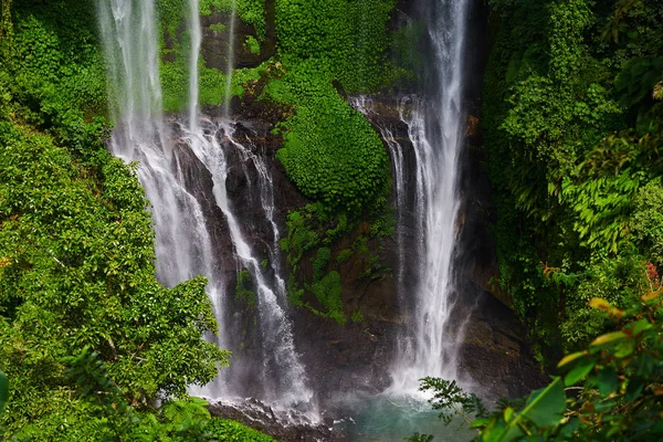 Cachoeira na selva da floresta pode ser usada como fundo de