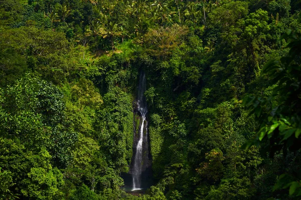 Água Corrente Vista Incrível Bela Cachoeira Com Luz Solar Vista — Fotografia de Stock