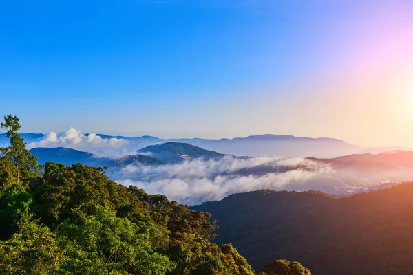 Nature. olorful sunrise. Mountains during sunrise. Beautiful natural landscape in the summer time. Mountains under mist in the early morning. Bright morning sunlight.