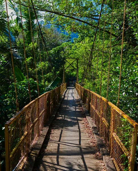 Pedestrian hanging bridge over river in tropical forest in Southeast Asia. Old wooden suspension bridge for walking across river in the rainforest. Suspension bridge. Travel and adventure concept.