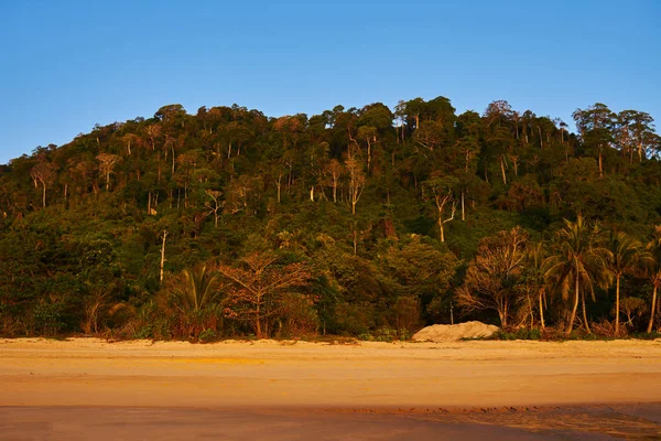 Estate Sfondo Natura Bella Spiaggia Esotica Sabbia Dorata Piena Palme — Foto Stock