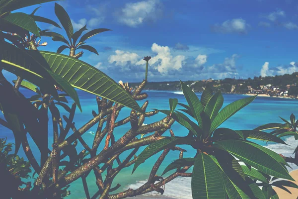 热带植物以蓝色海在背景 景色不错的热带沙滩 模糊的翡翠海与波浪 抽象背景 度假概念 天堂蓝色海景 美容天地 — 图库照片