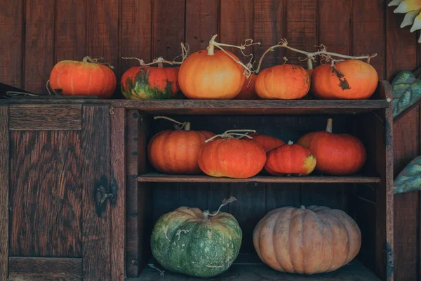 Nature Morte Automne Rustique Avec Des Citrouilles Sur Une Vieille — Photo