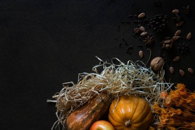 Şükran kabak ve ahırda rustik ahşap tahta üzerinde düşen yaprakları. Bir rustik sonbahar natürmort karanlık tahta arka plan ile. Sebze ve meyve saman önünde üzerinde eski ahşap Komiteler yıpranmış.