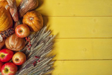 Yukarıdan aşağı kenarlık irili ufaklı ve kopya alanı ile squash su kabakları renklerin görünümünü. Kavramı Şükran veya sonbahar Temalar hakkında. Buğday eaars ve sebze eski masada Vintage kenarlık.