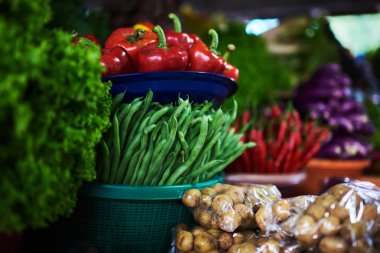 Çiftçi pazarından organik taze farklı sebze. Sağlıklı yerel gıda pazarı. Biyo gıda, otlar ve baharatlar. Taze sebze beetroots, patlıcan, biber hasat. Sonbaharda hasat kavramı.