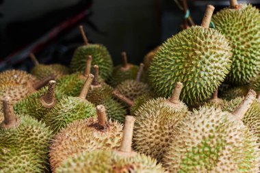 Egzotik tropik meyve Durian satışa açık bir pazar. Organik meyve semt pazarı üzerinde. Meyve sezon. Durian olduğunu meyve kralıdır ünlü Asya meyve. Gıda arka plan. Seçici odak.