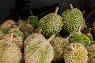 Egzotik tropik meyve Durian satışa açık bir pazar. Organik meyve semt pazarı üzerinde. Meyve sezon. Durian olduğunu meyve kralıdır ünlü Asya meyve. Gıda arka plan. Seçici odak.